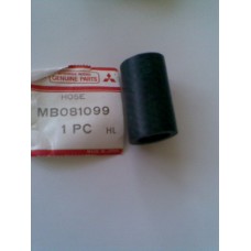 MB081099 HORTUM 